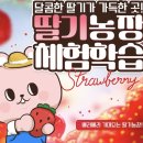 임동농장 이미지