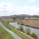 단재초등학교 이미지