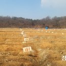 김종찬농장 이미지