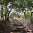 능원게이트볼장 | &lt;경기 가볼만한곳 / 과천시 남태령옛길&gt; 한양으로 과거 보러 가던 길 (21.3.11)