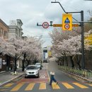 정가네집밥 | 의정부 가성비 좋은 정가네 한식뷔페에서 집밥을 느껴봐요