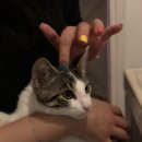 다은민박 이미지