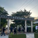 쉬어가리 | 중랑장미축제 현재상황 | 축제 마지막날 다녀온 후기