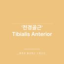 플레로필라테스