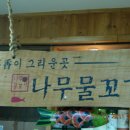 나무물꼬기 티스토리