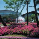 리베라파크 이미지