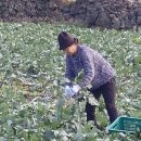 현선농장 이미지