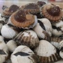 순천 나무숲 이미지