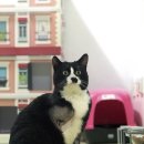 묘한쉼터 이미지