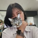 대선유통 | 상실의 역사