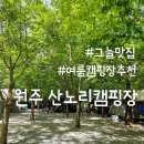 [원주 캠핑장] 시원한 계곡 그늘이 풍부한 곳 원주 산노리 캠핑장