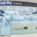 펫피아 동물병원 이미지