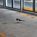 (주)디에프브이투 | 2026년 3월 (ft. 주 1회 베이글샌드 먹는 삶이란)