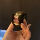 사과나무김밥집 | 동탄 맛집ㅣ스시코호시 동탄 오마카세 (+런치 후기)