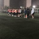 키다리 태권도 이미지