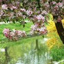 유한통상 이미지