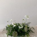잘 사용하고 있는 우리집 이케아 IKEA 살림템
