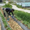 박달농산