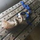 광명주철 이미지