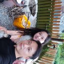 스테이 꿈의대화 이미지