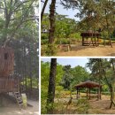 늘솔길공원양떼목장 이미지