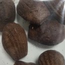 마이홈제과 | 마이디어 컨벤셔널 오븐 35L 내돈내산 후기 | 홈베이킹 미니오븐