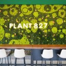 자연in | 제주카페 자연in PLANT827 방문 후기
