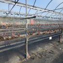 아라농장 이미지