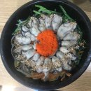 아리굴 이미지