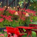 개화영농조합법인 이미지