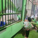 대경목장 이미지