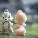 플러피 퍼피 이미지