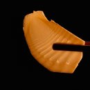 gc-camera-053 이미지