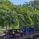 냉천골 할매집 이미지