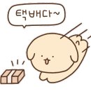 정원동물병원 이미지