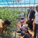 정착농장 이미지