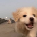 사랑가운데 이미지