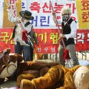 농심한우 네이버블로그