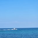 전촌솔밭해수욕장 이미지