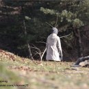 신암2농장 이미지