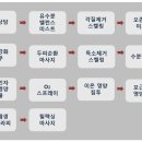 이안두피탈모 이미지