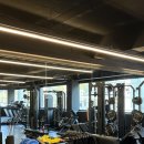 셀럽피트니스 이미지