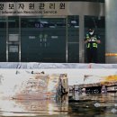 정오자원 이미지