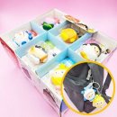 프랜즈24 이미지