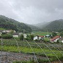 숭실농장 이미지