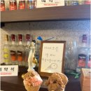 보플러스 이미지