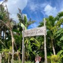 터틀팜 | 미야코지마 블루터틀팜 망고카페 미야코공항 근처 망고 디저트