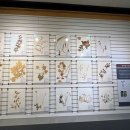 경북대학교 자연사박물관 이미지