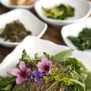 걸구쟁이네 이미지