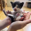 세종옥 | 세종 보리굴비 세종옥 솔직 후기 (금남면 맛집)